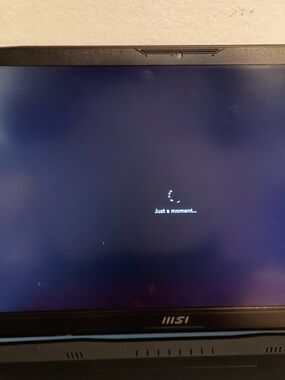 MSI Laptop Display Panel with Black Bezel